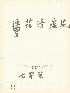 连花清瘟风寒感冒封面