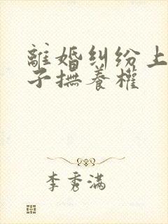 离婚纠纷上诉孩子抚养权