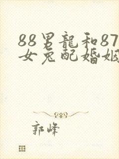 88男龙和87女兔配婚姻好不好