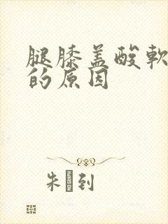 腿膝盖酸软无力的原因