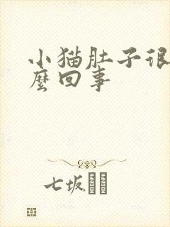 小猫肚子很大怎么回事