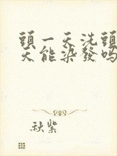 头一天洗头第二天能染发吗