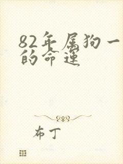 82年属狗一生的命运封面