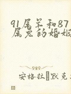 91属羊和87属兔的婚姻如何