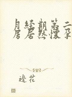 月经期第二天同房居然怀孕了