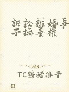 诉讼离婚争夺孩子抚养权