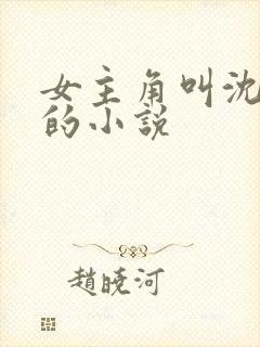 女主角叫沈知夏的小说