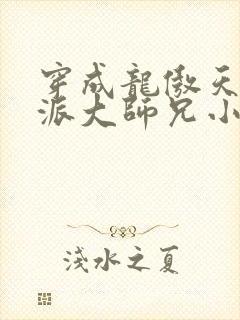 穿成龙傲天的反派大师兄小说