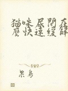 猫咪尿闭在家怎么快速缓解