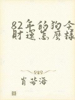 82年的狗今年财运怎么样