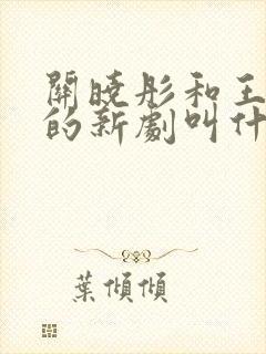 关晓彤和王安宇的新剧叫什么