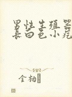 男性生殖器外皮长白色小疙瘩