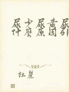 尿少尿黄尿频是什么原因引起的