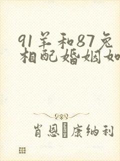 91羊和87兔相配婚姻如何封面