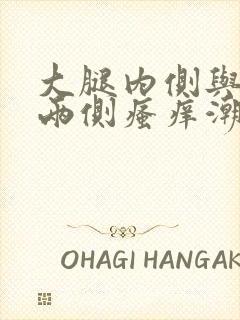 大腿内侧与阴囊两侧瘙痒潮湿发