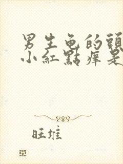 男生龟的头上长小红点痒是怎么回事