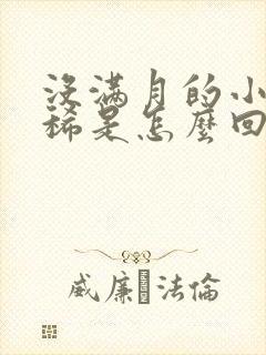 没满月的小猫拉稀是怎么回事