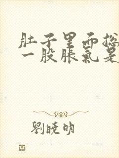 肚子里面总是有一股胀气是怎么回事封面