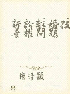 诉讼离婚孩子抚养权问题