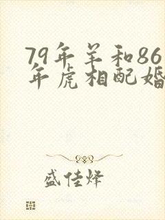 79年羊和86年虎相配婚姻如何封面