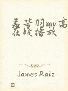 孟若羽mv高清在线播放