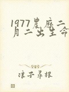 1977农历二月二出生命运