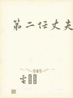 第二任丈夫结局