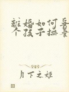 离婚如何争取两个孩子抚养权