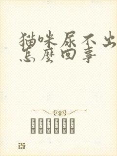 猫咪尿不出尿是怎么回事