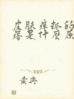 皮肤痒抓的起疙瘩是什么原因