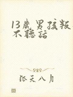 13岁男孩叛逆不听话