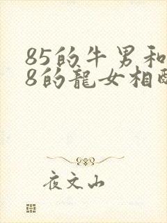 85的牛男和88的龙女相配吗婚姻如何