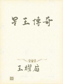 星王传奇