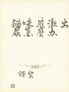 猫咪应激出现不尿怎么办