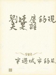 刘晓庆的现任丈夫是谁