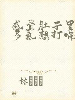 感觉肚子里有很多气想打嗝封面