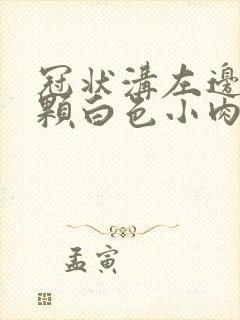 冠状沟左边长几颗白色小肉粒