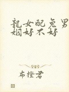龙女配兔男的婚姻好不好封面