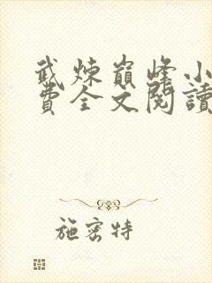 武炼巅峰小说免费全文阅读封面