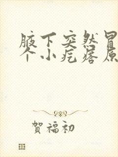 腋下突然冒出一个小疙瘩原因封面