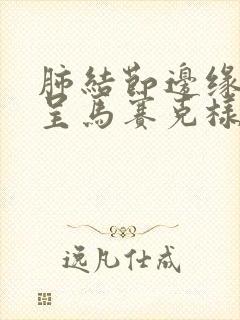 肺结节边缘模糊呈马赛克样