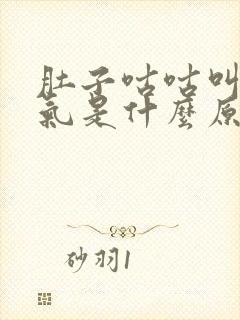 肚子咕咕叫还嗳气是什么原因