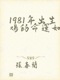 1981年出生鸡的命运如何