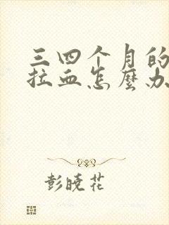 三四个月的小狗拉血怎么办