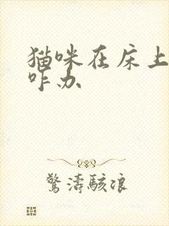 猫咪在床上乱尿咋办