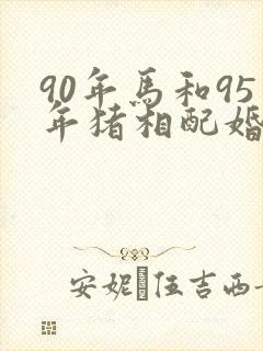 90年马和95年猪相配婚姻如何封面