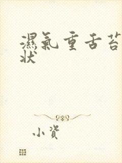 湿气重舌苔的症状