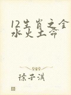 12生肖之金木水火土命封面