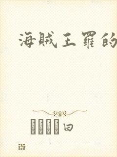 海贼王罗的能力封面