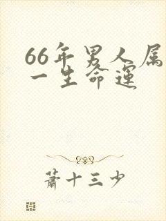 66年男人属马一生命运